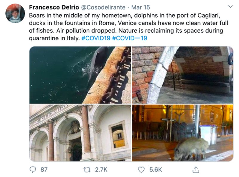 Venedig Venedig